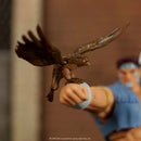 Street Fighter T. Hawk 6" Figure - Jada Toys-3