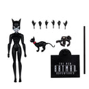 DC Direct The New Batman Adventures Catwoman - McFarlane Toys-2