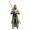 Star Wars Black Series 6" Clone Wars Jedi Temple Guard-2