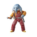 Star Wars Black Series 6" Skeleton Crew Neel At Attin-2