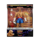 Street Fighter II Sagat 6" Figure - Jada Toys-1