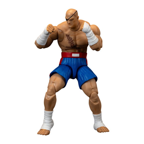 Street Fighter II Sagat 6" Figure - Jada Toys