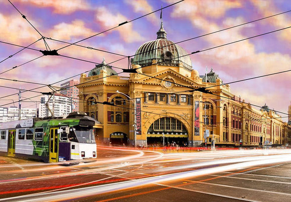 Funbox Finding Flinders Jigsaw Puzzle 1000 pieces