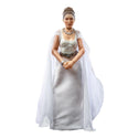 Star Wars Black Series 6