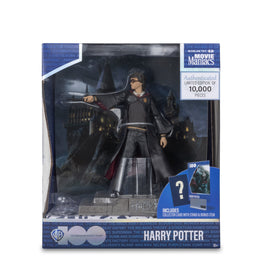 Movie Maniacs Harry Potter WB100 Anniversary 6" Limited Figure - McFarlane Toys