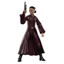 Star Wars Black Series 6" Phantom Menace Padme Amidala-2