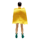 DC Retro The New Adventures of Batman Robin 6" - McFarlane Toys-4